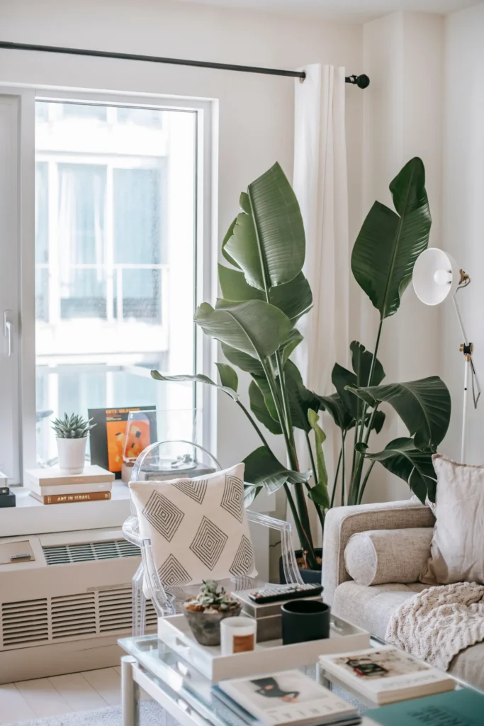 Small Home Decorating Ideas on a Budget